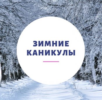 План зимних каникул